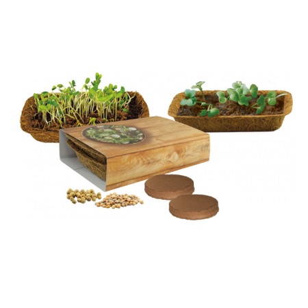 Microgreen Duo Radieschen, Koriander mit Logo