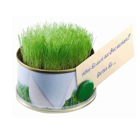 Minigarten Gras mit Magnet mit Logo