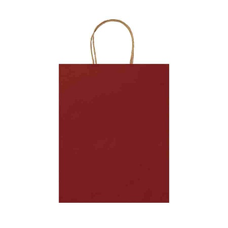 Papiertasche 240 x 120 x 310 mm farbig bedruckt mit Logo